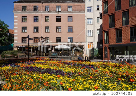 ラトビア リガ 聖ペテロ教会周辺の風景 100744305