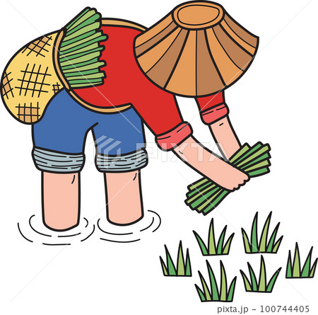 farmers harvesting rice illustration in doodle style farmers harvesting rice illustration in doodle style 100744405