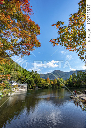 秋の金鱗湖 100745317