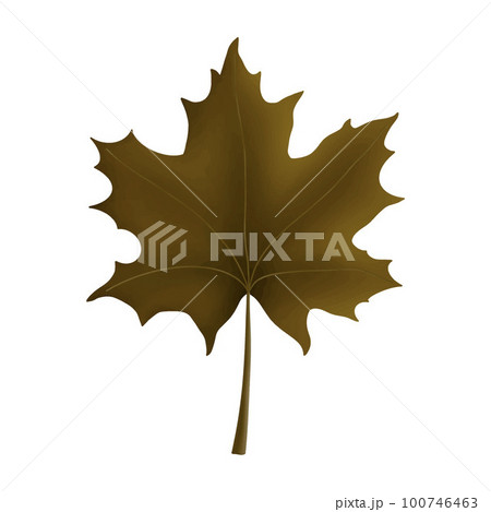Autumn Maple Leaf. Maple Leaves design element for pattern, decoration, planner sticker. 100746463