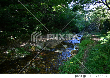 くぐり滝の裏で木陰の下を冷たく気持ちが良い川が流れている風景 100746605