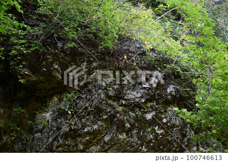 くぐり滝の裏の入り口の巨大な岩の風景 くぐり滝の裏の入り口の巨大な岩の風景 100746613