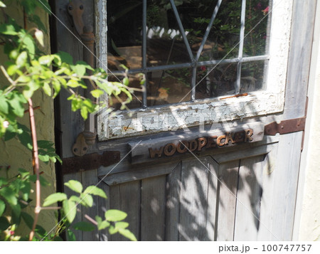 可憐に咲く花と庭 100747757