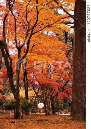 兼六園の紅葉 100747828