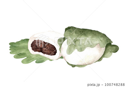 柏餅と柏の葉っぱの水彩画 100748288