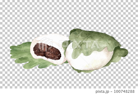 Kashiwa mochi and Kashiwa leaf watercolor painting 100748288