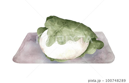 お皿に乗った柏餅の水彩画 お皿に乗った柏餅の水彩画 100748289