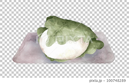 お皿に乗った柏餅の水彩画 お皿に乗った柏餅の水彩画 100748289