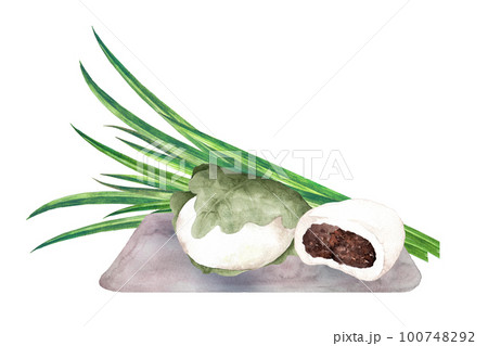柏餅と葉菖蒲の水彩画 柏餅と葉菖蒲の水彩画 100748292