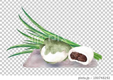 柏餅と葉菖蒲の水彩画 柏餅と葉菖蒲の水彩画 100748292