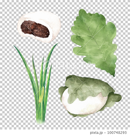 Kashiwamochi, irises, and Kashiwa leaf watercolor set 100748293
