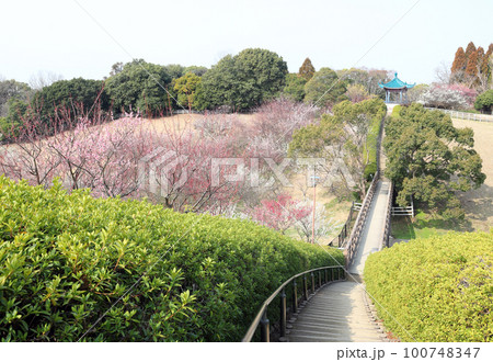 石ケ谷公園 明錫亭（兵庫県 明石市） 100748347