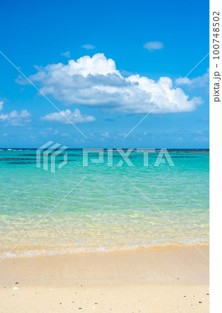 【鹿児島県】奄美大島 土盛海岸の青い海と青い空 【鹿児島県】奄美大島 土盛海岸の青い海と青い空 100748502