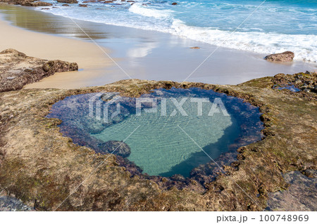 【鹿児島県】奄美大島のハートロック 100748969