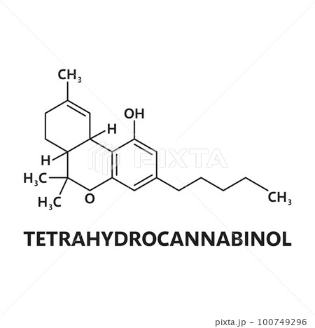 Tetrahydrocannabinol cannabinoid molecule. Cannabis psychoactive drug molecule education scheme, medical cannabinoid compound atomic composition or weed biochemical vector chemistry biomolecule model 100749296