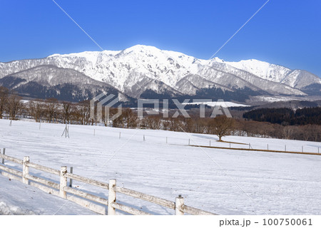 雪山の禿岳と鬼首高原大崎市営鳴子放牧場 100750061