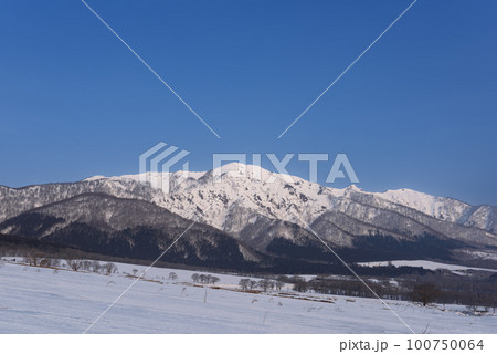 雪山の禿岳と鬼首高原大崎市営鳴子放牧場 100750064