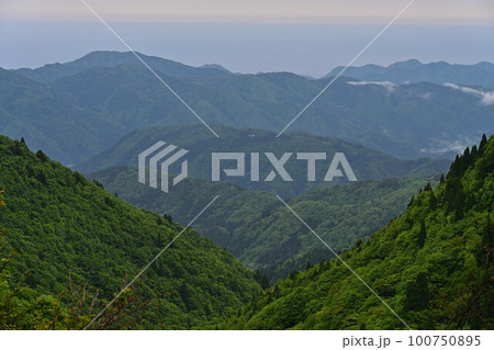 上山高原より 100750895