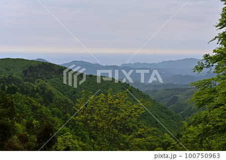 上山高原より 上山高原より 100750963