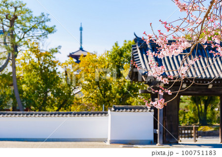 【奈良県】奈良市 薬師寺 玄奘三蔵院伽藍 (2023/03/20撮影) 【奈良県】奈良市 薬師寺 玄奘三蔵院伽藍 (2023/03/20撮影) 100751183