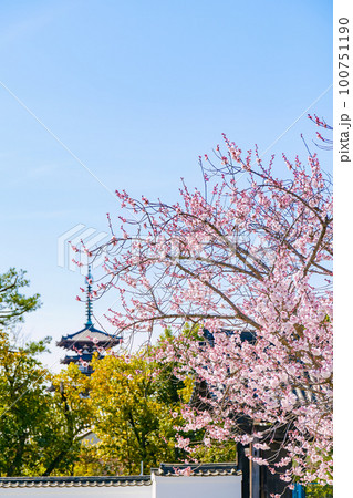【奈良県】奈良市 薬師寺 (2023/03/20撮影) 【奈良県】奈良市 薬師寺 (2023/03/20撮影) 100751190
