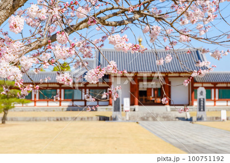 【奈良県】奈良市 薬師寺 玄奘三蔵院伽藍 (2023/03/20撮影) 100751192