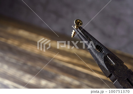 ラジオペンチとネジ 100751370