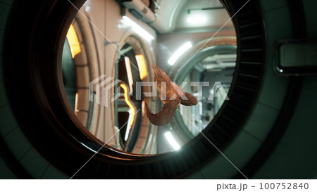 skull of dead ram in international space station 100752840