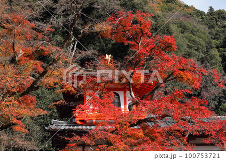 紅葉・箕面瀧安寺 紅葉・箕面瀧安寺 100753721