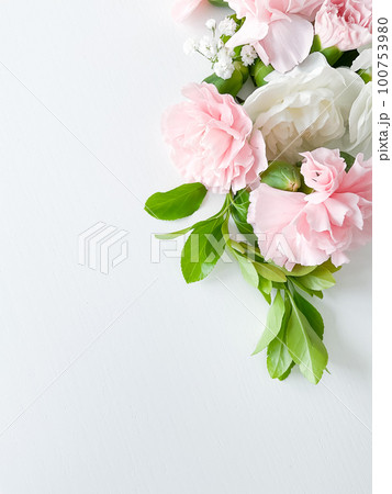 Pink floral. assorted pink flowers border on white 100753980