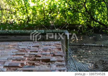 猿島の景観 100754526