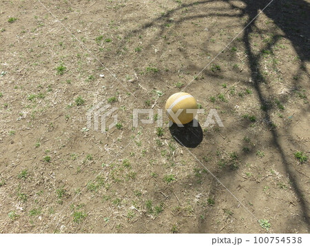 黄色いボールと公園の広場 黄色いボールと公園の広場 100754538