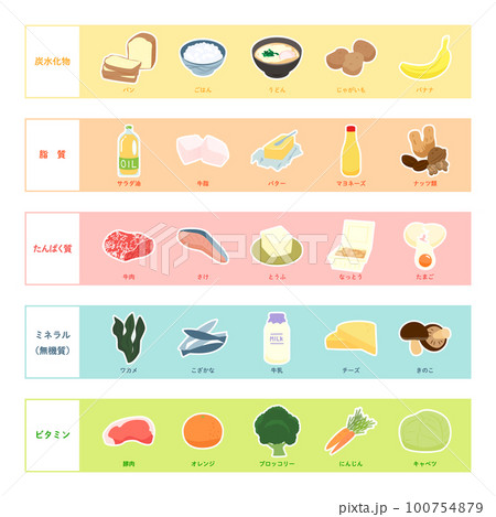 五大栄養素のイラスト 100754879