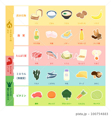 五大栄養素のイラスト 100754883