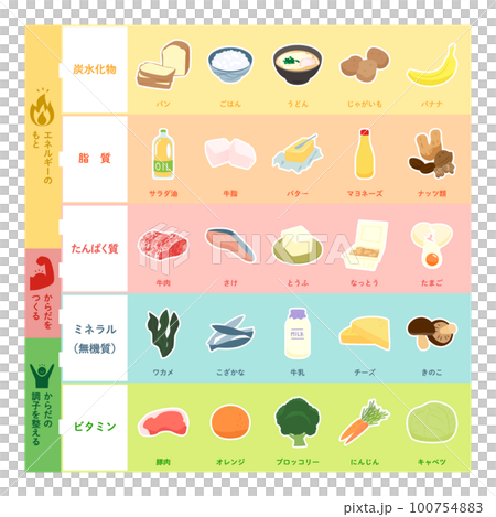 五大栄養素のイラスト 100754883