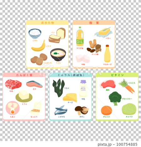 五大栄養素のイラスト 100754885