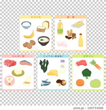 五大栄養素のイラスト 100754886