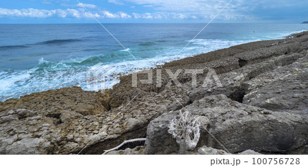Coastline View, Oyambre Natural Park, Cantabria, Spain Coastline View, Oyambre Natural Park, Cantabria, Spain 100756728
