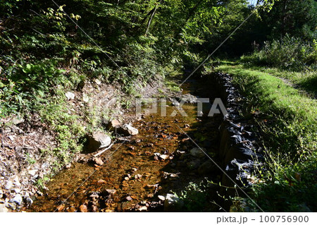 冷たくきれいな水が流れているくぐり滝の裏の川の風景 100756900