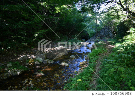 奥から流れてきているくぐり滝の裏の森の中の川の風景 100756908