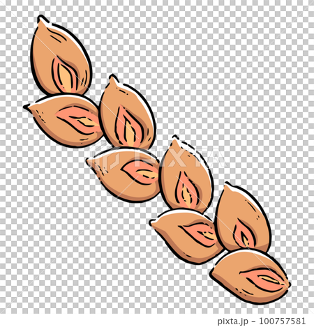 培根epi手繪插畫 100757581