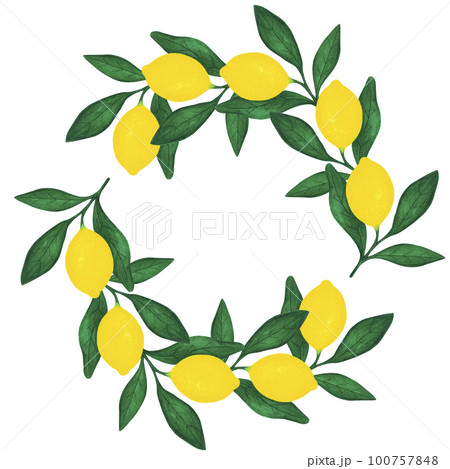 Hand drawn watercolor lemon lime with leaves frame isolated on white background. Scrapbook, post card, banner, lable. Hand drawn watercolor lemon lime with leaves frame isolated on white background. Scrapbook, post card, banner, lable. 100757848