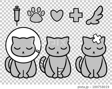 injured cat 1 100758019