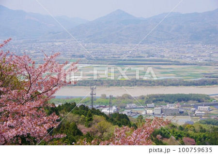 徳島県吉野川市　桜の咲くチェリーロードラインから善入寺島・阿波市方面を望む 100759635