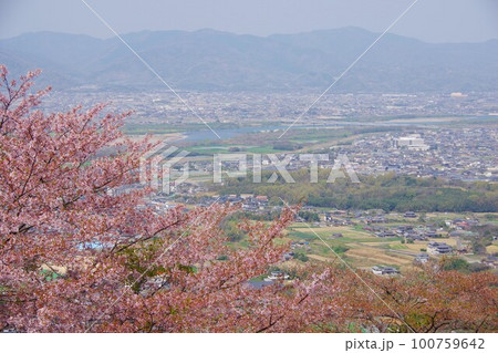 徳島県吉野川市　桜の咲くチェリーロードラインから阿波中央橋周辺を望む 100759642