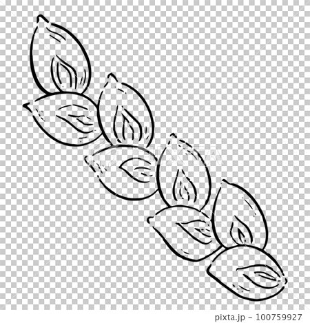 手描きのベーコンエピのイラスト 白黒 手描きのベーコンエピのイラスト 白黒 100759927