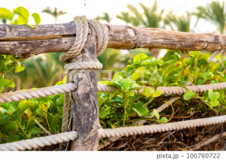 Closeup of old wooden fence covered with cloth ropes and green vegetation. Closeup of old wooden fence covered with cloth ropes and green vegetation. 100760722