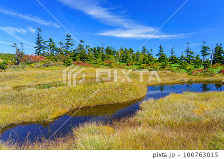 草紅葉の天空の楽園 苗場山 百名山登山 新潟 草紅葉の天空の楽園 苗場山 百名山登山 新潟 100763015