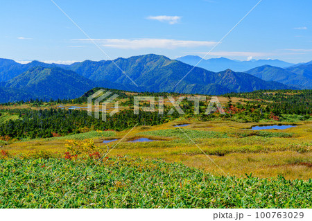草紅葉の天空の楽園 苗場山　百名山登山 新潟 100763029