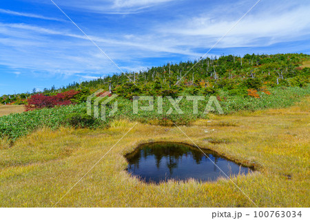 草紅葉の天空の楽園 苗場山 百名山登山 新潟 草紅葉の天空の楽園 苗場山 百名山登山 新潟 100763034